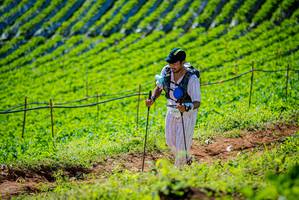 BIB: 
                            <button type="button" onclick="openModal(19161907)" class="btn btn-primary btn-sm float-right btn-popup" data-toggle="modal" data-target=".modal-high-quality">
                        <i class="fas fa-shopping-cart"></i> Add to Cart
                    </button>
                                            <button type="button" onclick="isThisMe(19161907, true)" class="btn btn-success btn-sm float-right btn-popup btn-isme hidden" data-toggle="tooltip" data-placement="bottom" title="นี่คือรูปของคุณใช่ไหม คลิกที่นี่เพื่อเอาเข้าอัลบั้ม">
                        <i class="fas fa-plus"></i> Add to album
                    </button>
                    <button type="button" onclick="isThisMe(19161907, false)" class="btn btn-warning btn-sm float-right btn-popup btn-isnotme hidden">
                        <i class="fas fa-ban"></i> Remove from album
                    </button>